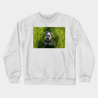 Flo in the Grass Crewneck Sweatshirt